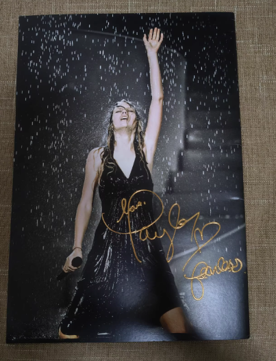 Taylor Swift Fearless Tour 2009 Book Official Tour Program Like New