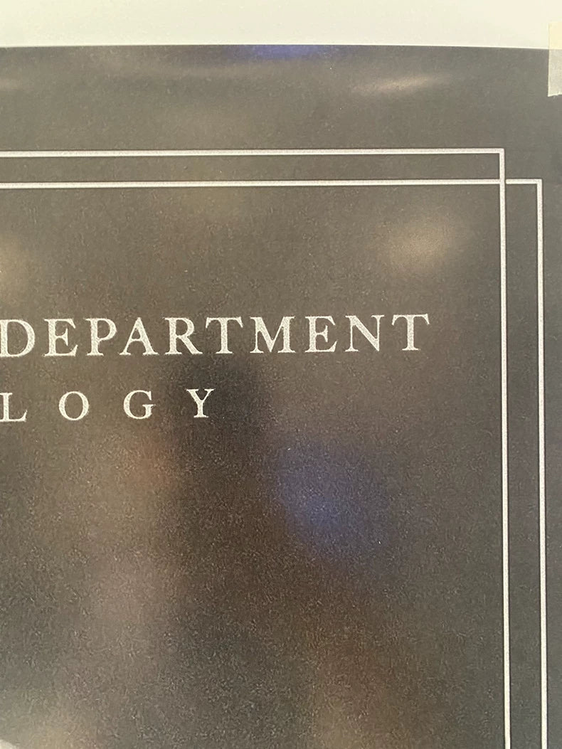 Taylor Swift The Tortured Poets Department Official Album Poster US Press