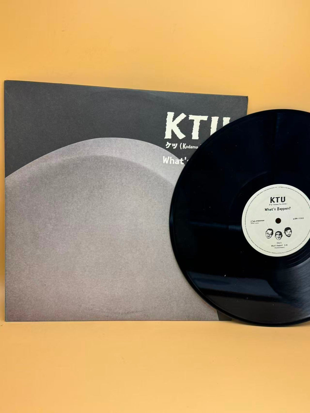 Limited Edition Vinyls Collection - KTU, La Taverne Du Lac, Various Artists & Bayaka